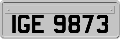 IGE9873