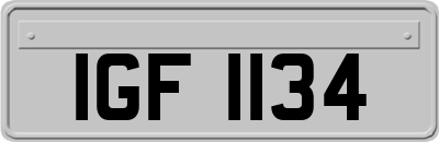 IGF1134