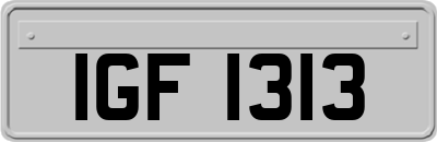 IGF1313