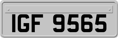 IGF9565