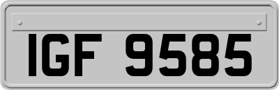 IGF9585