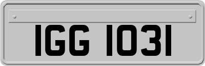 IGG1031