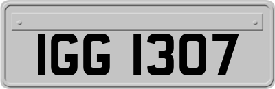 IGG1307