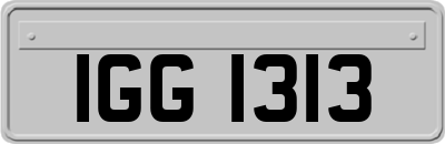 IGG1313