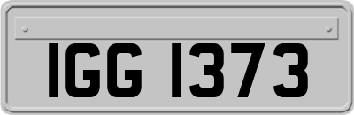 IGG1373