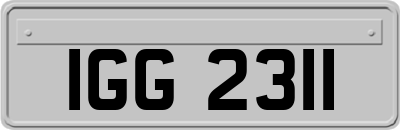 IGG2311