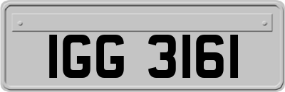 IGG3161
