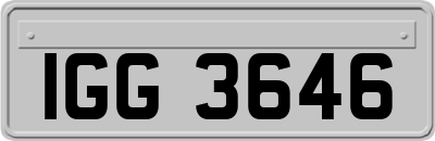IGG3646