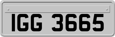 IGG3665