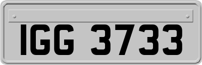 IGG3733