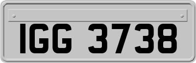 IGG3738