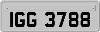 IGG3788