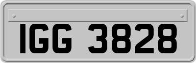 IGG3828