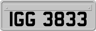 IGG3833