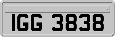 IGG3838