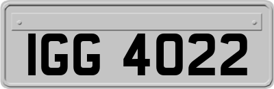 IGG4022