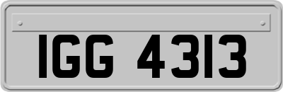 IGG4313