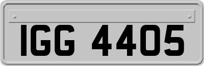 IGG4405