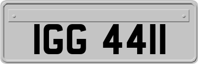 IGG4411
