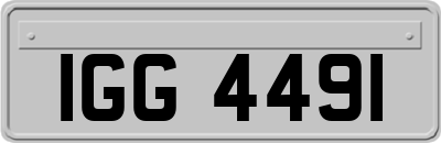 IGG4491