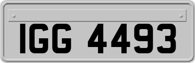 IGG4493