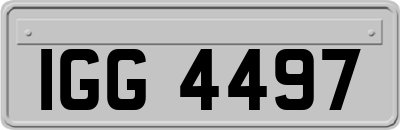 IGG4497