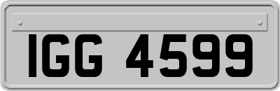 IGG4599