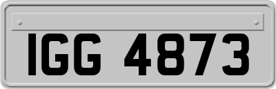 IGG4873