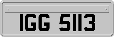 IGG5113