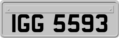 IGG5593