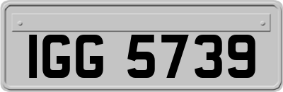 IGG5739