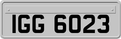 IGG6023