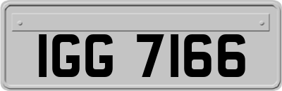 IGG7166
