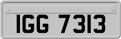 IGG7313