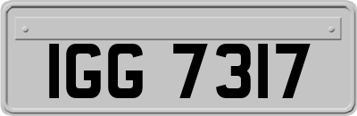 IGG7317
