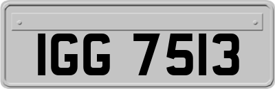 IGG7513
