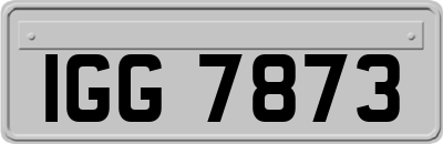 IGG7873