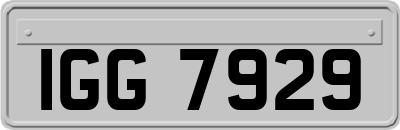 IGG7929
