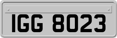 IGG8023