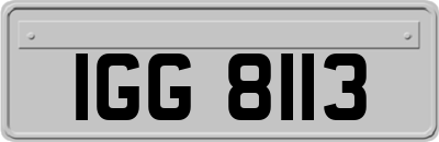 IGG8113