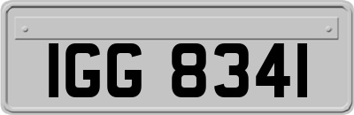 IGG8341
