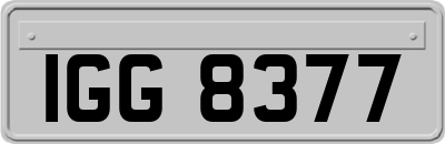 IGG8377