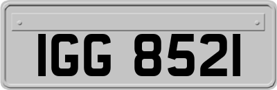 IGG8521