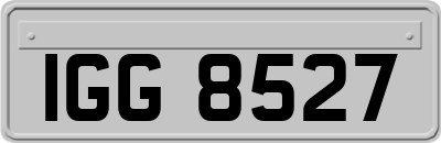 IGG8527