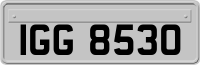 IGG8530