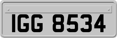 IGG8534