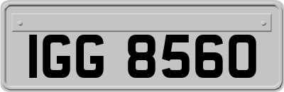 IGG8560