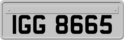 IGG8665