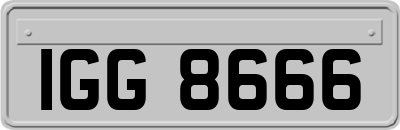 IGG8666