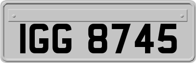 IGG8745